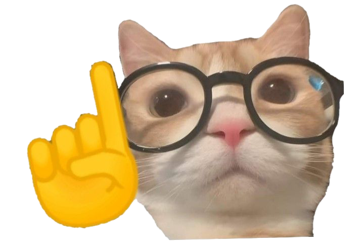 cat wearing glasses erm actually meme